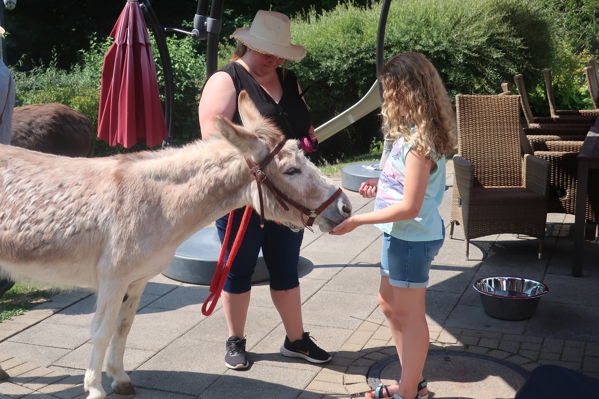 072023Eselbesuch3